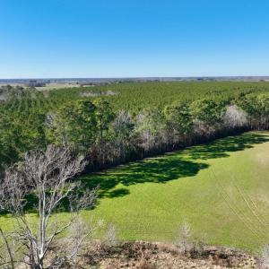 Photo #4 of SOLD property in 703 Sandy Ridge Road, Tyner, NC 0.6 acres