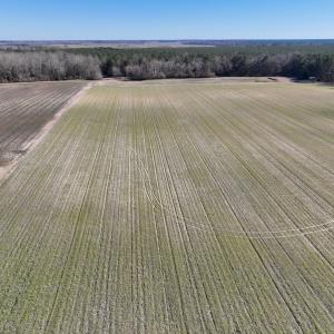 Photo #6 of SOLD property in 703 Sandy Ridge Road, Tyner, NC 0.6 acres