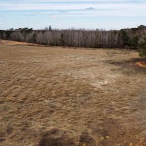 Photo #3 of Off Boggy Branch Rd, Nichols, SC 39.3 acres