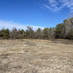 Photo #4 of Off Boggy Branch Rd, Nichols, SC 39.3 acres