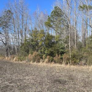Photo #6 of Off Boggy Branch Rd, Nichols, SC 39.3 acres