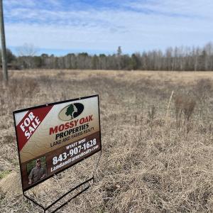 Photo #13 of Off Boggy Branch Rd, Nichols, SC 39.3 acres