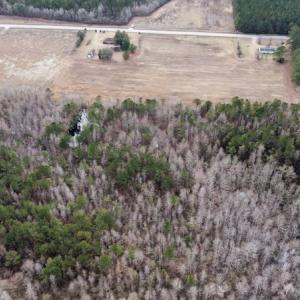 Photo #15 of Off Boggy Branch Rd, Nichols, SC 39.3 acres
