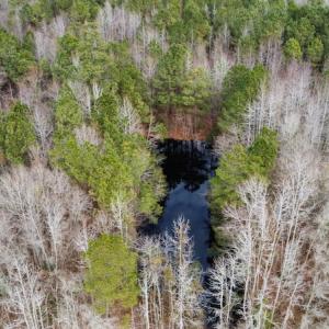Photo #18 of Off Boggy Branch Rd, Nichols, SC 39.3 acres