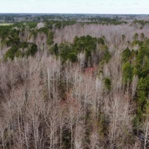 Photo #19 of Off Boggy Branch Rd, Nichols, SC 39.3 acres