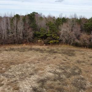 Photo #21 of Off Boggy Branch Rd, Nichols, SC 39.3 acres