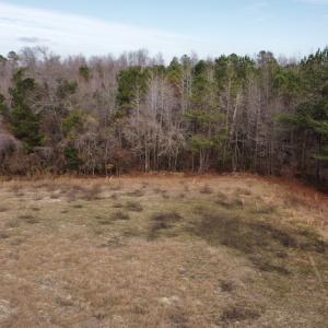 Photo #22 of Off Boggy Branch Rd, Nichols, SC 39.3 acres