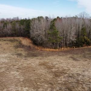 Photo #23 of Off Boggy Branch Rd, Nichols, SC 39.3 acres