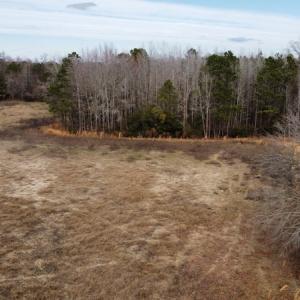 Photo #24 of Off Boggy Branch Rd, Nichols, SC 39.3 acres