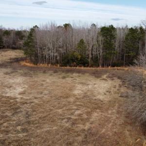 Photo #24 of Off Boggy Branch Rd, Nichols, SC 39.3 acres