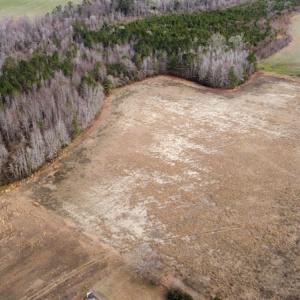 Photo #25 of Off Boggy Branch Rd, Nichols, SC 39.3 acres