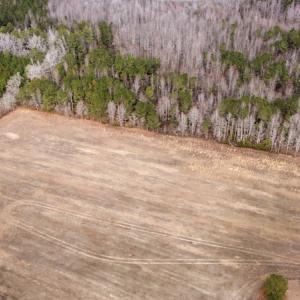 Photo #26 of Off Boggy Branch Rd, Nichols, SC 39.3 acres