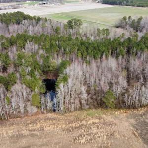 Photo #28 of Off Boggy Branch Rd, Nichols, SC 39.3 acres