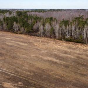 Photo #30 of Off Boggy Branch Rd, Nichols, SC 39.3 acres