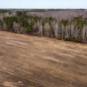 Photo #30 of Off Boggy Branch Rd, Nichols, SC 39.3 acres