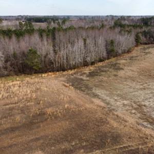 Photo #31 of Off Boggy Branch Rd, Nichols, SC 39.3 acres