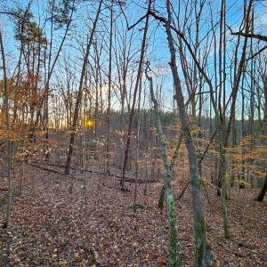 Photo #2 of Off Martin Lane , Axton, VA 4.0 acres