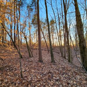 Photo #3 of Off Martin Lane , Axton, VA 4.0 acres
