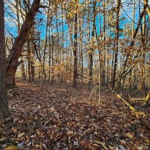 Photo #6 of Off Martin Lane , Axton, VA 4.0 acres