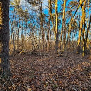 Photo #7 of Off Martin Lane , Axton, VA 4.0 acres