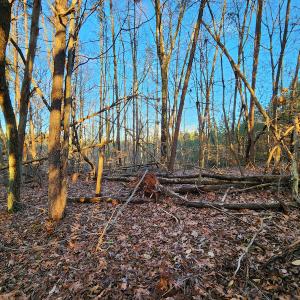 Photo #8 of Off Martin Lane , Axton, VA 4.0 acres