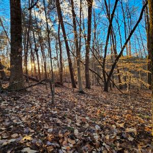 Photo #11 of Off Martin Lane , Axton, VA 4.0 acres
