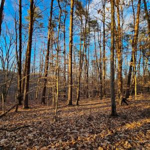 Photo #12 of Off Martin Lane , Axton, VA 4.0 acres