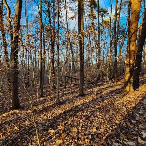 Photo #13 of Off Martin Lane , Axton, VA 4.0 acres
