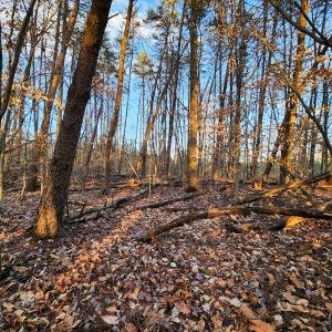 Photo #16 of Off Martin Lane , Axton, VA 4.0 acres