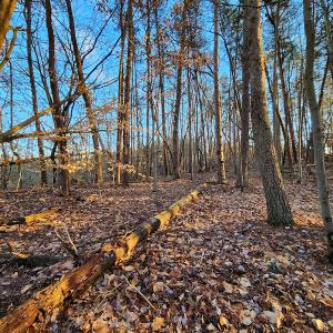 Photo #17 of Off Martin Lane , Axton, VA 4.0 acres