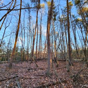 Photo #19 of Off Martin Lane , Axton, VA 4.0 acres