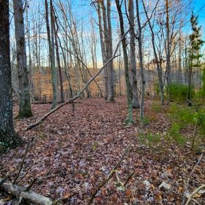 Photo #21 of Off Martin Lane , Axton, VA 4.0 acres