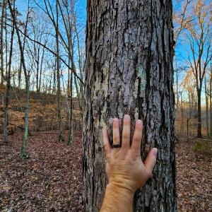 Photo #22 of Off Martin Lane , Axton, VA 4.0 acres