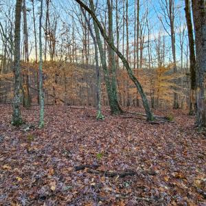 Photo #23 of Off Martin Lane , Axton, VA 4.0 acres