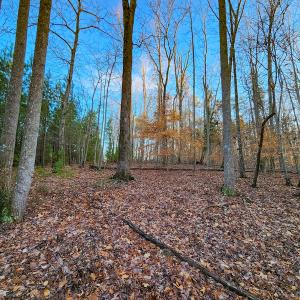 Photo #24 of Off Martin Lane , Axton, VA 4.0 acres