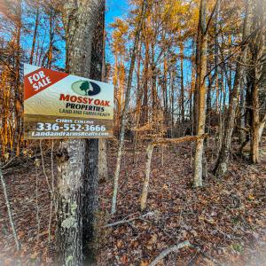 Photo #26 of Off Martin Lane , Axton, VA 4.0 acres