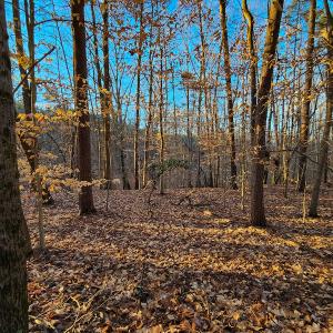 Photo #4 of Off Martin Lane , Axton, VA 4.0 acres