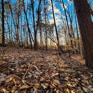 Photo #5 of Off Martin Lane , Axton, VA 4.0 acres