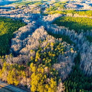 Photo #27 of Off Martin Lane , Axton, VA 4.0 acres