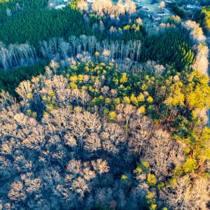 Photo #31 of Off Martin Lane , Axton, VA 4.0 acres