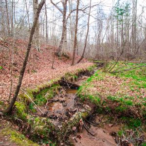 Photo #8 of SOLD property in Off Oak Tree Lane , Henderson, NC 2.7 acres