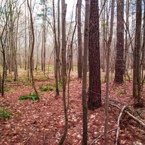 Photo #9 of SOLD property in Off Oak Tree Lane , Henderson, NC 2.7 acres