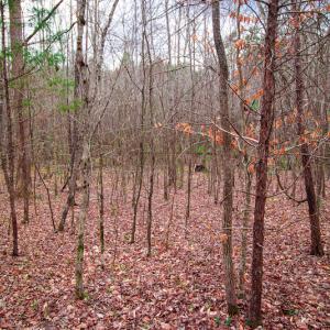 Photo #10 of SOLD property in Off Oak Tree Lane , Henderson, NC 2.7 acres