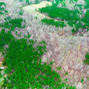 Photo #12 of SOLD property in Off Oak Tree Lane , Henderson, NC 2.7 acres
