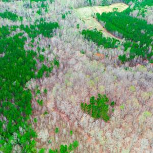 Photo #13 of SOLD property in Off Oak Tree Lane , Henderson, NC 2.7 acres