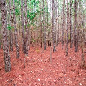 Photo #2 of SOLD property in Off Oak Tree Lane , Henderson, NC 2.7 acres