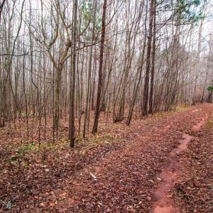 Photo #3 of SOLD property in Off Oak Tree Lane , Henderson, NC 2.7 acres