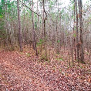 Photo #4 of SOLD property in Off Oak Tree Lane , Henderson, NC 2.7 acres