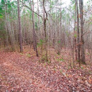 Photo #4 of SOLD property in Off Oak Tree Lane , Henderson, NC 2.7 acres