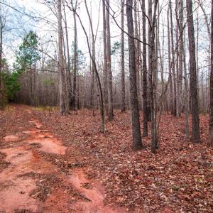 Photo #5 of SOLD property in Off Oak Tree Lane , Henderson, NC 2.7 acres